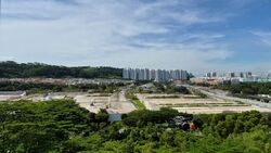 Blk 812A Keat Hong Colours (Choa Chu Kang), HDB 5 Rooms #576081841